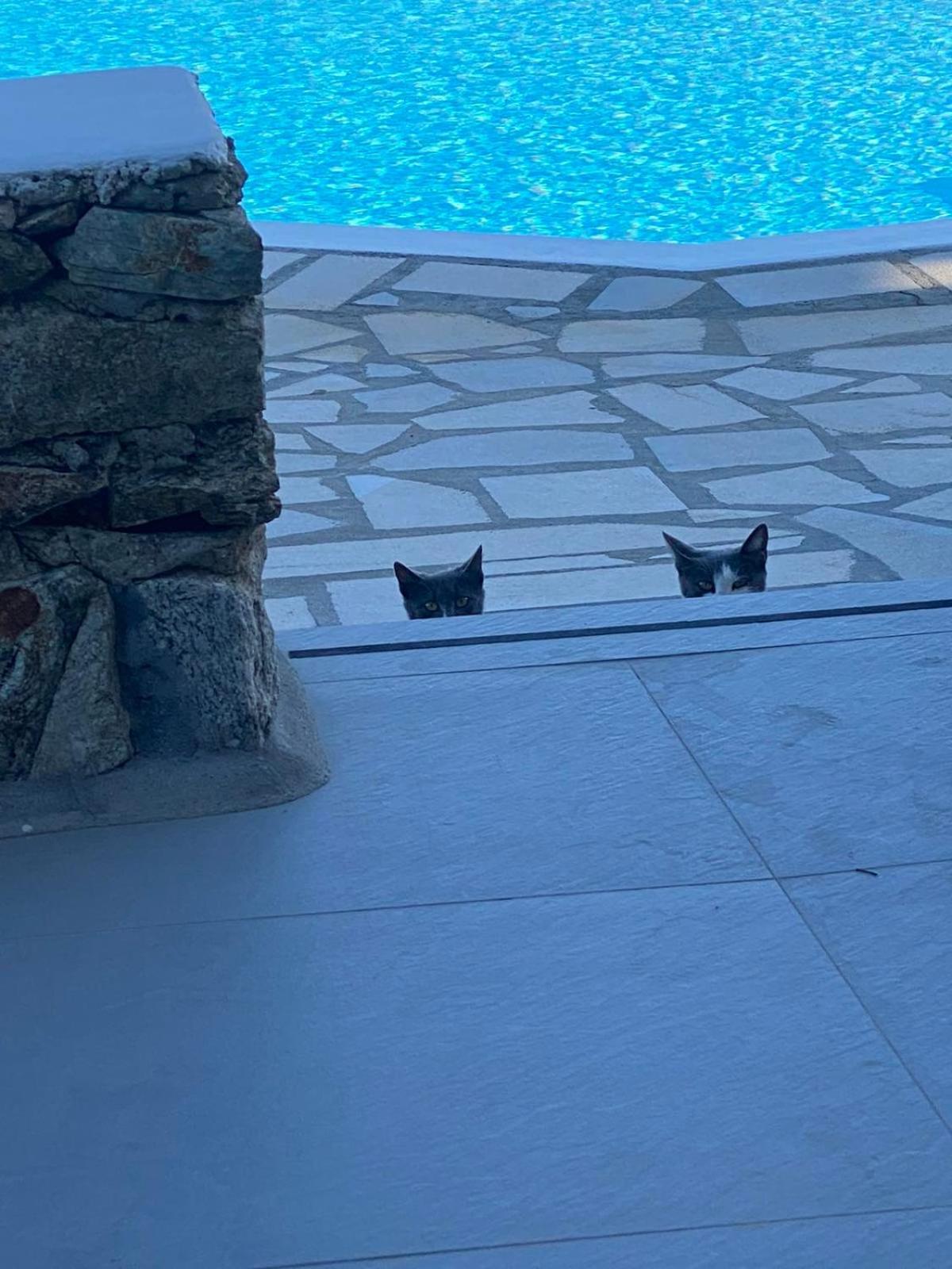 Cavo Blue Villas Elia  Buitenkant foto